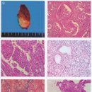 인천어바웃유외과의원 이미지