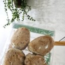 좋은아침 Bread 이미지