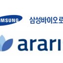 아라테크 이미지