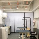 도그마 펫살롱 이미지