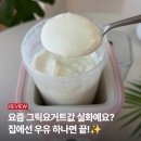엔유씨 요거트메이커 풀패키지 사용후기 집에서 그릭요거트 만들기