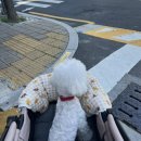 진미담추어탕