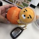 용용카 이미지