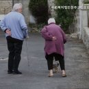 천주교인보회행복한집 네이버블로그