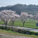 서익산농협웅포지점 이미지