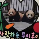 돌체도노 이미지