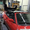 월수금 통돼지 이미지