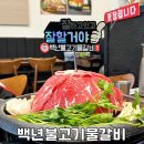 [용인] 백년불고기물갈비, 맵칼한 서울식 샤브 내돈내산