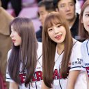 율 Daum카페