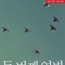 열병의 방 | 이선미 - 첫 번째 열병, 두 번째 열병