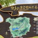 고창고인돌박물관 | 전북 고창 고인돌박물관 애견동반 중형견 방문 후기 입장료 주차 꿀팁 유적지 고창청보리밭