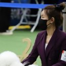 위드미펫살롱 이미지