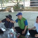 덕희농장 이미지