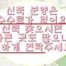 신항부동산중개 이미지