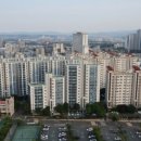 송백시장 네이버블로그