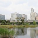 스타팰리스2 이미지