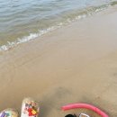 브리드 바이 마티에 이미지