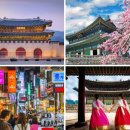 2025년 국내 여행 트렌드 총정리 (숙소, 교통, 일정표)
