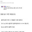 오늘터진 아프리카tv 살인사건 이미지