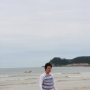 태안바다 Daum카페