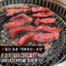 세븐일레븐 울산울주대복점 | 울산 웅촌 <대복축산•초장> 소고기 돼지고기 둘다 클리어한 내돈내산 후기