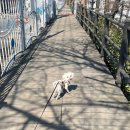 도봉-도봉-2048 이미지