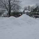 솔바람 들꽃향기 이미지