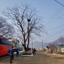소여1리 이미지