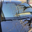 꿀오토샵 이미지