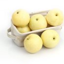 조이스킨 이미지