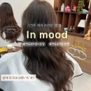 은빛 | 전주효자동미용실 애쉬브라운염색 인무드 신시가지미용실