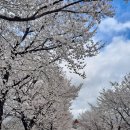 현내1리 이미지