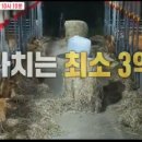 천두농장 이미지