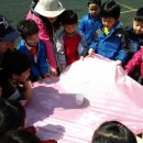 쌍봉초교병설유치원 이미지