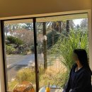 오렌지별장 | 제주 태교여행 DAY2 신라호텔 산책로 플레이존, 대기정, 중문별장, 숙성도