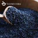 진정농장 이미지