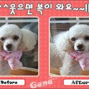 웃으면복이와요 이미지