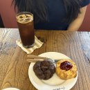 스콘마마 이미지