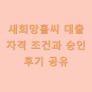 새희망홀씨 대출 자격 조건과 승인 후기 공유