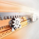 카스피스( kaasfis)