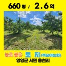 복숭아과수원 이미지