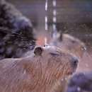 전자의거리 이미지