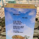덕평공룡수목원 이미지