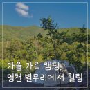 별무리 | 영천 별무리캠핑장 2박3일 후기 | 가을 가족 캠핑 힐링