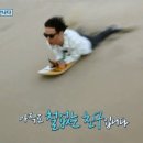 꽃샌드 이미지