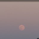 우성식당 | 울진 죽변 우성식당 내돈내산 후기