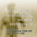 카이로프락틱 이미지