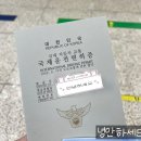 자인공단카서비스 | 스페인 바르셀로나 - 마요르카 자유여행 준비 (feat. 직항 항공권, 유심, 국제운전면허증, 렌트카)