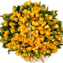 2017년 11월 1일 해병 제1210기의 병장진급을 축하드립니다 이미지