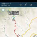 용문산 은행나무길(물소리길 6코스) 이미지